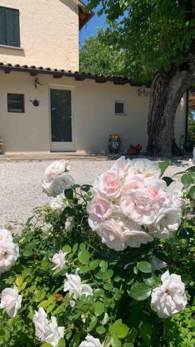 Casa Bellona Монтебелуна Екстериор снимка